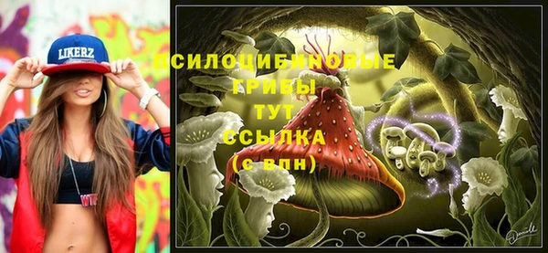 винт Белокуриха