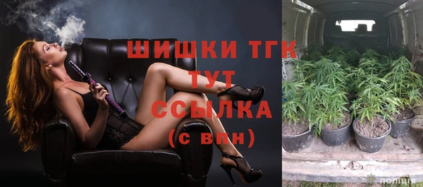 винт Белокуриха